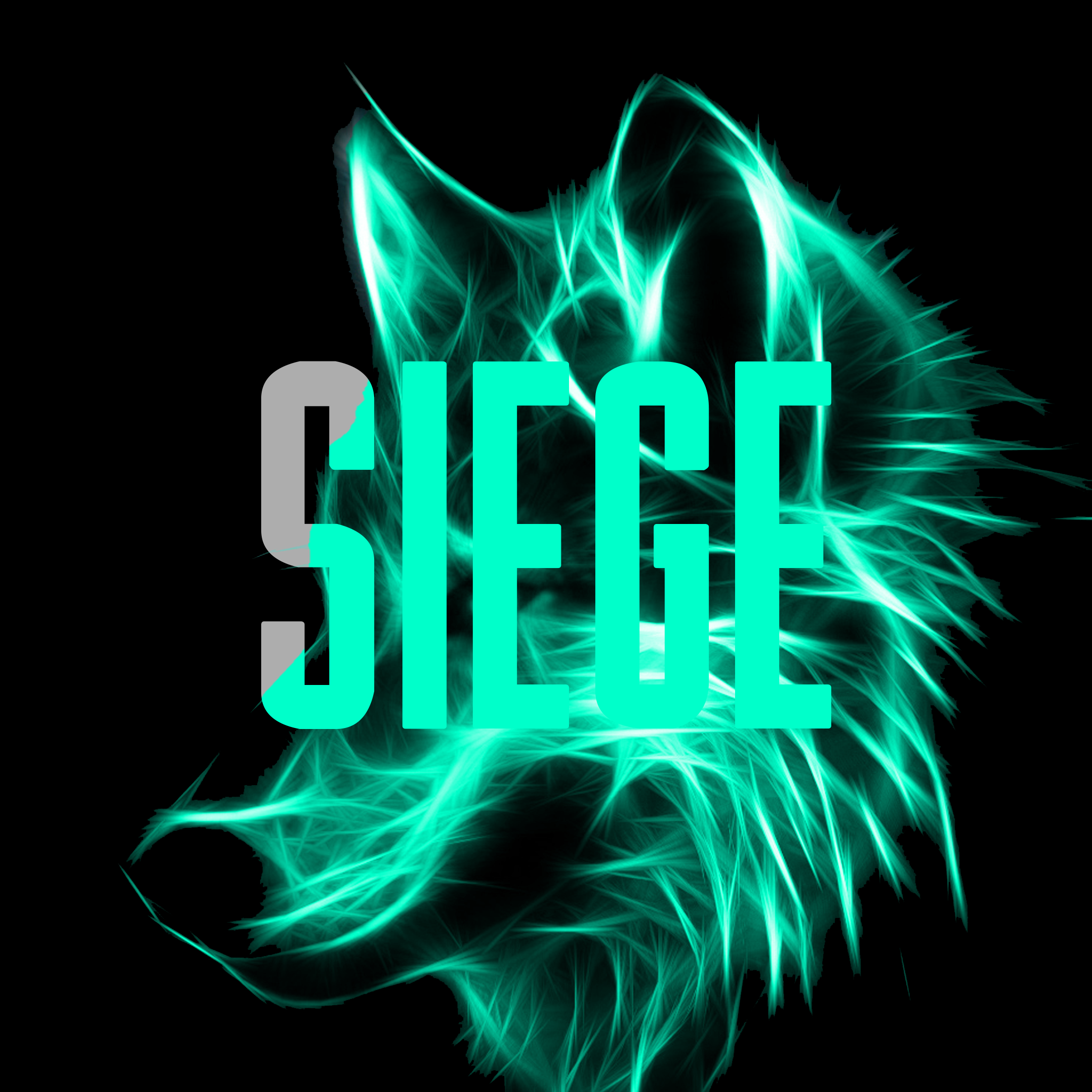 siege